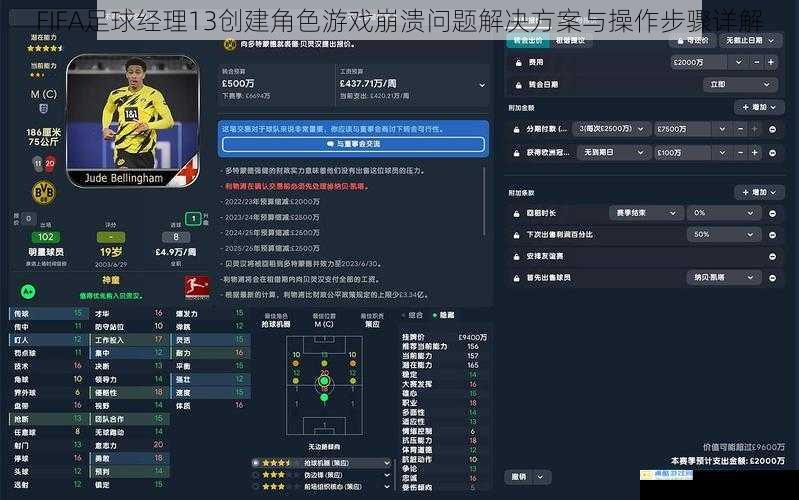 FIFA足球经理13创建角色游戏崩溃问题解决方案与操作步骤详解