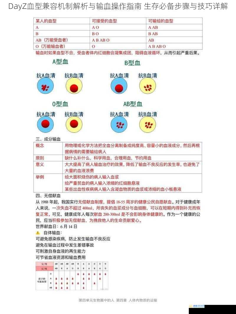 DayZ血型兼容机制解析与输血操作指南 生存必备步骤与技巧详解